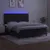 Produktbild 4 för Ramsäng med madrass & LED svart 180x200 cm sammet