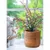 Produktbild 6 för Home&Styling Planteringskrukor 3 st massivt mangoträ natur