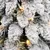 Produktbild 7 för Plastgran med 80 LED och snö 150 cm