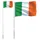 Irlands flagga och flaggstång 5,55 m aluminium