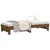 Produktbild 6 för Utdragbar dagbädd honungsbrun 2x(80x200) cm massiv furu