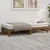 Produktbild 4 för Utdragbar dagbädd honungsbrun 2x(75x190) cm massiv furu