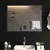 Produktbild 4 för Badrumsspegel LED 60x80 cm