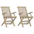 Produktbild 2 för Hopfällbara trädgårdsstolar 2 st grå 56x61x89 cm massiv teak
