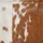 Bänk brun och vit 160x28x50 cm äkta getskinn