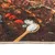 Produktbild 6 för Köksmatta flerfärgad 60x180 cm tvättbar halkfri
