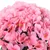 Produktbild 5 för Konstgjorda girlanger 3 st rosa 85 cm