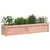 Produktbild 4 för Odlingslåda 150x31x31 cm massivt douglasträ