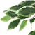 Produktbild 3 för Konstväxt fikusträd 756 blad 150 cm grön