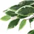 Produktbild 3 för Konstväxt fikusträd 1008 blad 180 cm grön