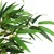 Produktbild 3 för Konstväxt bambu 1216 blad 180 cm grön
