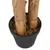 Produktbild 4 för Konstgjord bananträd 18 blad 150 cm grön