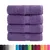 Produktbild 2 för Premium gästhanddukar SOLUND 4 st lila 30x30 cm 600 gsm