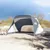 Produktbild 3 för Strandtält grå 274x178x170/148 cm 185T taft