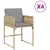 Produktbild 2 för Trädgårdsstolar med dynor 4 st blandad beige konstrotting