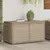 Produktbild 3 för Trädgårdsskåp beige 110x55x60,5 cm konstrotting