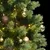 Produktbild 2 för Plastgran med gångjärn 300 LEDs & kulor 180 cm