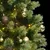 Produktbild 2 för Plastgran med gångjärn 300 LEDs & kulor 240 cm
