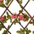 Produktbild 4 för Konstväxt murgröna spaljé expanderbar mörk rosa 180x30 cm