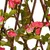 Produktbild 6 för Konstväxt murgröna spaljé expanderbar 5 st mörk rosa 180x60 cm