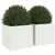 Produktbild 4 för Odlingslådor 2 st vit 32x30x29 cm kallvalsat stål