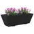 Produktbild 4 för Blomlådor med krokar 2 st svart konstrotting