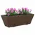 Produktbild 4 för Blomlådor med krokar 2 st brun konstrotting
