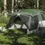Produktbild 3 för Campingtält med veranda 4 personer grön vattentätt