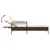 Produktbild 7 för Solsäng med dyna brun 63x200x81 cm konstrotting