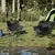 Produktbild 3 för Campingstolar med ficka fällbar 2 st svart