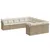 Produktbild 2 för Loungegrupp för trädgården m. dynor 11 delar beige konstrotting