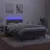 Produktbild 4 för Ramsäng med madrass & LED mörkgrå 120x190 cm sammet