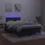 Produktbild 4 för Ramsäng med madrass & LED svart 120x190 cm sammet