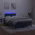 Produktbild 4 för Ramsäng med madrass & LED mörkblå 120x190 cm sammet