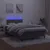 Produktbild 4 för Ramsäng med madrass & LED mörkgrå 120x190 cm sammet