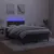 Produktbild 4 för Ramsäng med madrass & LED svart 120x190 cm sammet