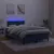 Produktbild 4 för Ramsäng med madrass & LED mörkblå 120x190 cm sammet