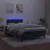 Produktbild 4 för Ramsäng med madrass & LED mörkgrön 120x190 cm sammet