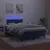Produktbild 4 för Ramsäng med madrass & LED mörkblå 120x190 cm sammet