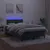 Produktbild 4 för Ramsäng med madrass & LED mörkgrön 120x190 cm sammet