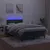 Produktbild 4 för Ramsäng med madrass & LED mörkgrön 120x190 cm sammet