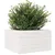 Produktbild 4 för Odlingslåda vit 40x40x23 cm massiv furu