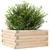Produktbild 4 för Odlingslåda 50x50x23 cm massivt furuträ