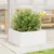 Produktbild 3 för Odlingslåda 50x50x23 cm vit massiv furu