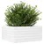 Produktbild 4 för Odlingslåda 50x50x23 cm vit massiv furu