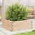 Produktbild 3 för Odlingslåda 60x60x23 cm massivt furuträ