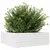 Produktbild 4 för Odlingslåda vit 70x70x23 cm massiv furu