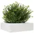 Produktbild 4 för Odlingslåda 80x80x23 cm vit massiv furu