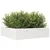 Produktbild 4 för Odlingslåda 90x90x23 cm vit massiv furu