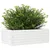 Produktbild 4 för Odlingslådor vit 70x40x23 cm massiv furu